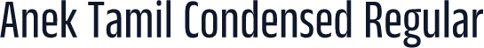 Anek Tamil Condensed Regular