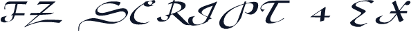 FZ SCRIPT 4 EX