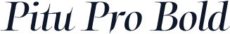 Pitu Pro Bold
