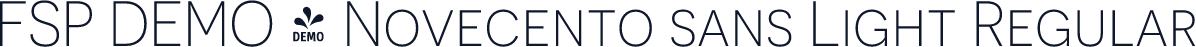 FSP DEMO - Novecento sans Light Regular