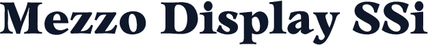 Mezzo Display SSi