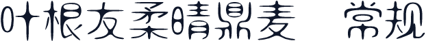 叶根友柔晴鼎麦 常规