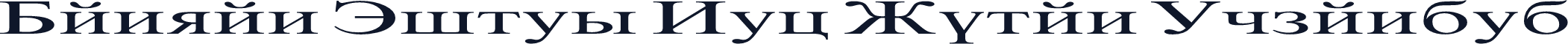 Danzan Times New Roman Expanded