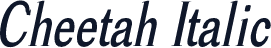 Cheetah Italic