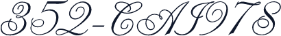 352-CAI978
