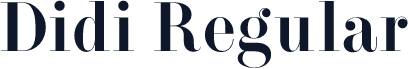 Didi Regular