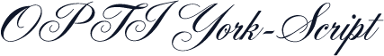 OPTIYork-Script