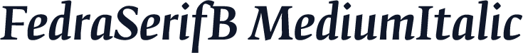 FedraSerifB MediumItalic