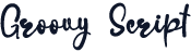 Groovy Script