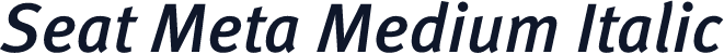 Seat Meta Medium Italic
