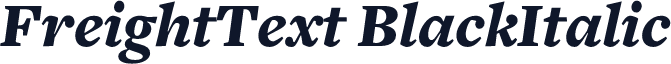 FreightText BlackItalic