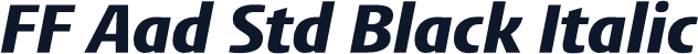 FF Aad Std Black Italic