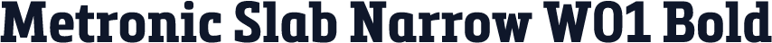 Metronic Slab Narrow W01 Bold