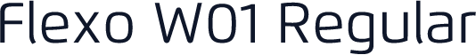 Flexo W01 Regular