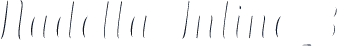 Nadella Inline_3