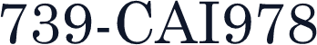 739-CAI978