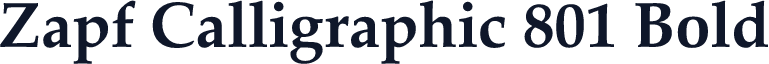 Zapf Calligraphic 801 Bold