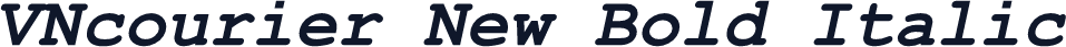 VNcourier New Bold Italic