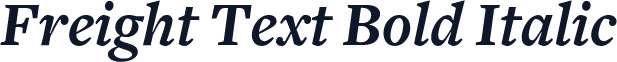 Freight Text Bold Italic