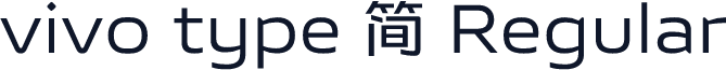 vivo type 简 Regular