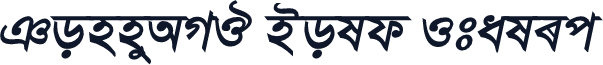 TonnyAMJ Bold Italic
