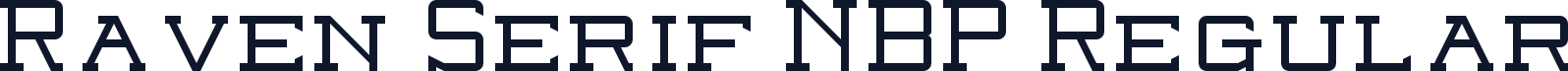 Raven Serif NBP Regular