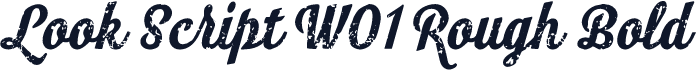 Look Script W01 Rough Bold