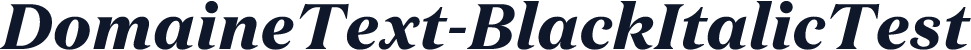 DomaineText-BlackItalicTest