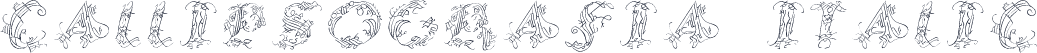 CalliPsoGrafia  Italic