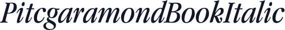 PitcgaramondBookItalic