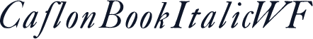 CaslonBookItalicWF