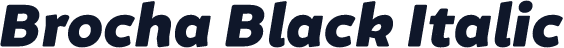 Brocha Black Italic