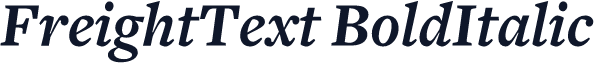 FreightText BoldItalic