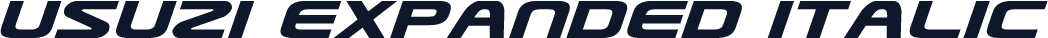 Usuzi Expanded Italic