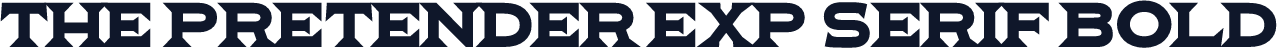 The Pretender Exp Serif Bold