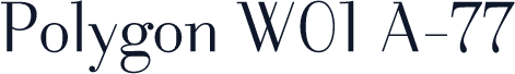 Polygon W01 A-77