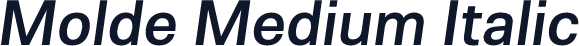 Molde Medium Italic