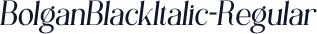 BolganBlackItalic-Regular