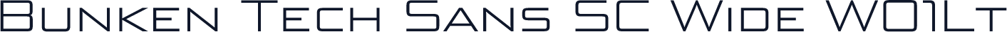 Bunken Tech Sans SC Wide W01Lt