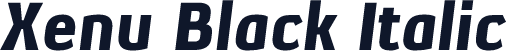 Xenu Black Italic
