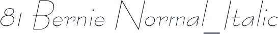 81 Bernie Normal_Italic