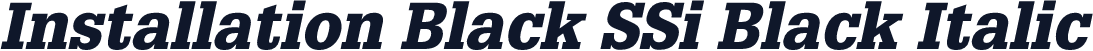 Installation Black SSi Black Italic