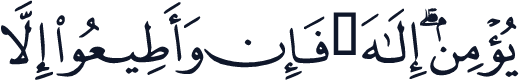 QCF_P557
