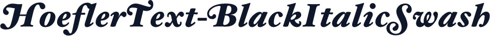HoeflerText-BlackItalicSwash