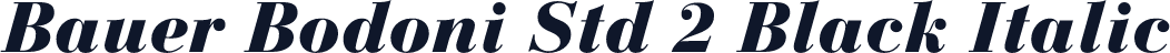 Bauer Bodoni Std 2 Black Italic