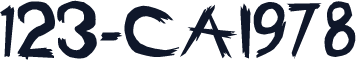 123-CAI978