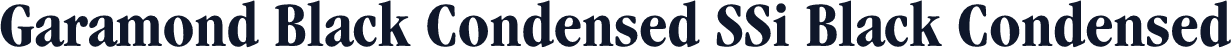 Garamond Black Condensed SSi Black Condensed