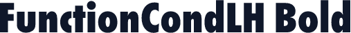 FunctionCondLH Bold