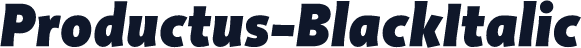 Productus-BlackItalic