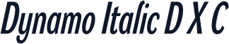 Dynamo Italic D X C